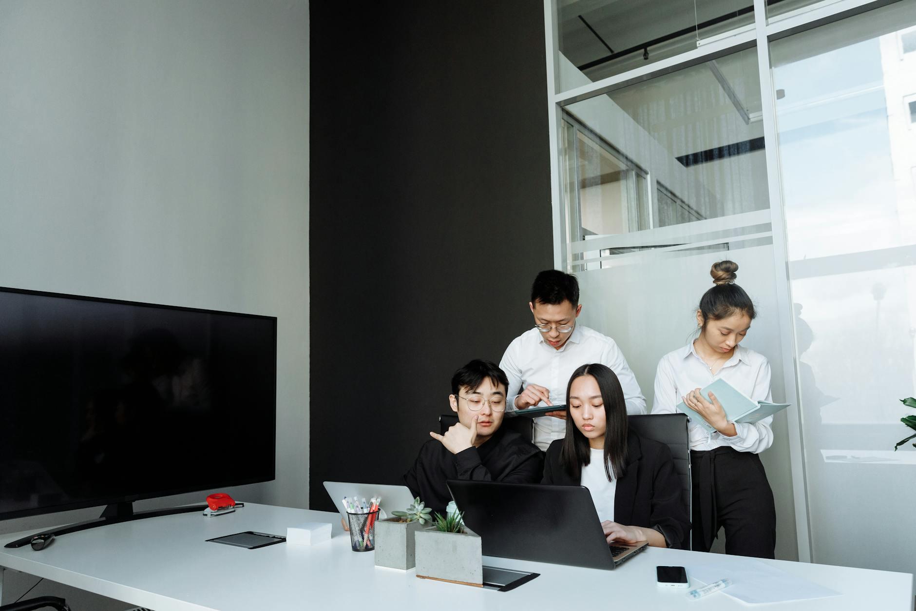 Software Audit & Assessment